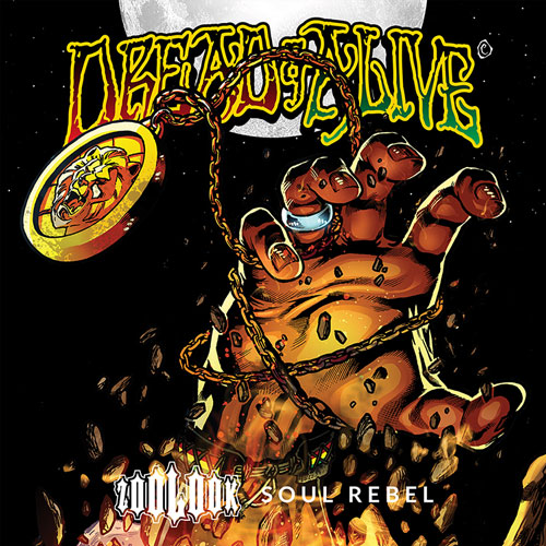 ALBUM ZOOLOOK Soul Rebel ZOOLOOK releases Soul Rebel
